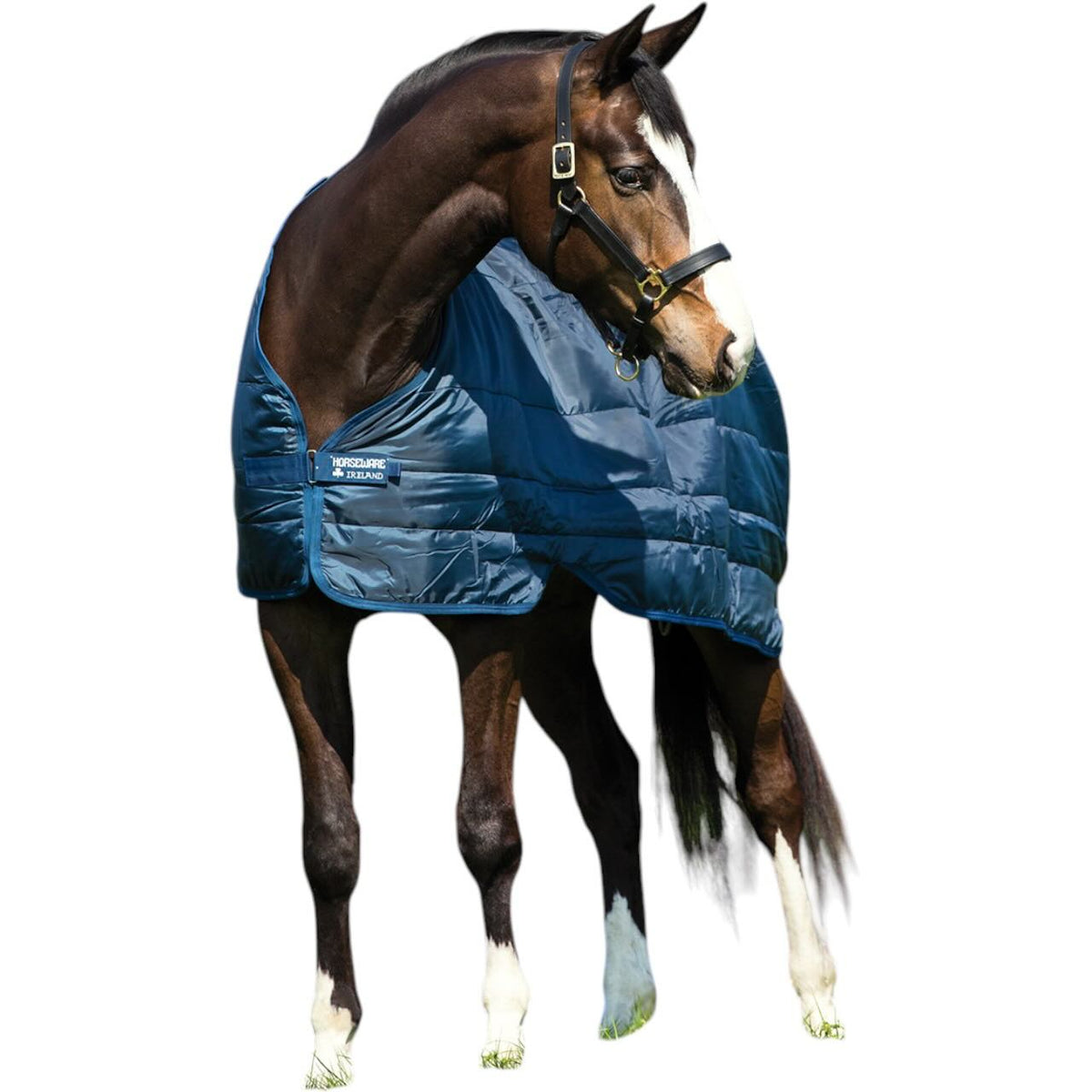 Horseware Ireland Unterdecke 100g Liner, Navy/Navy, Pferd trägt die Unterdecke.