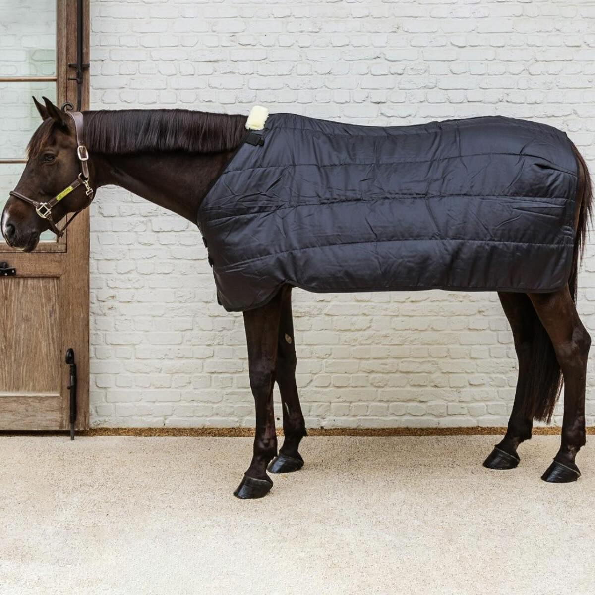 Unterdecke 300g Comfort Liner Pro Turnout Rug