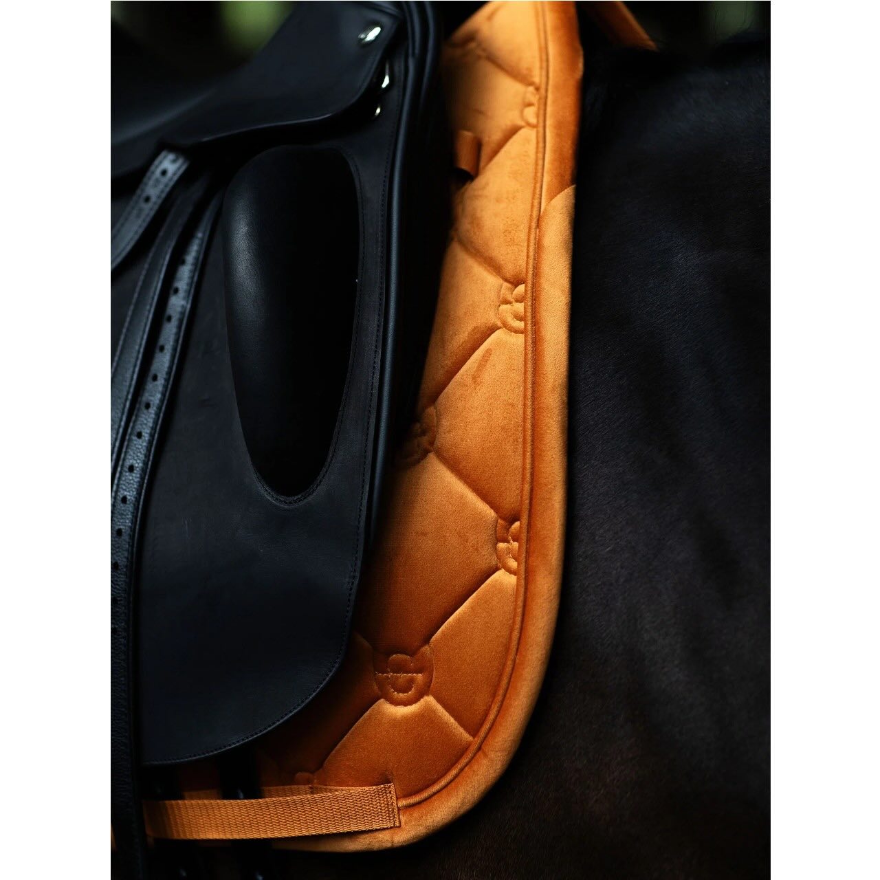 Dressurschabracke Velvet Chestnut Schabracke