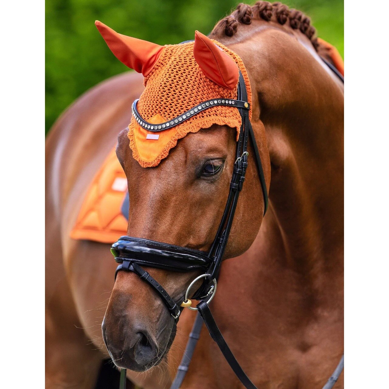 Fliegenhaube Velvet Chestnut Fliegenmütze