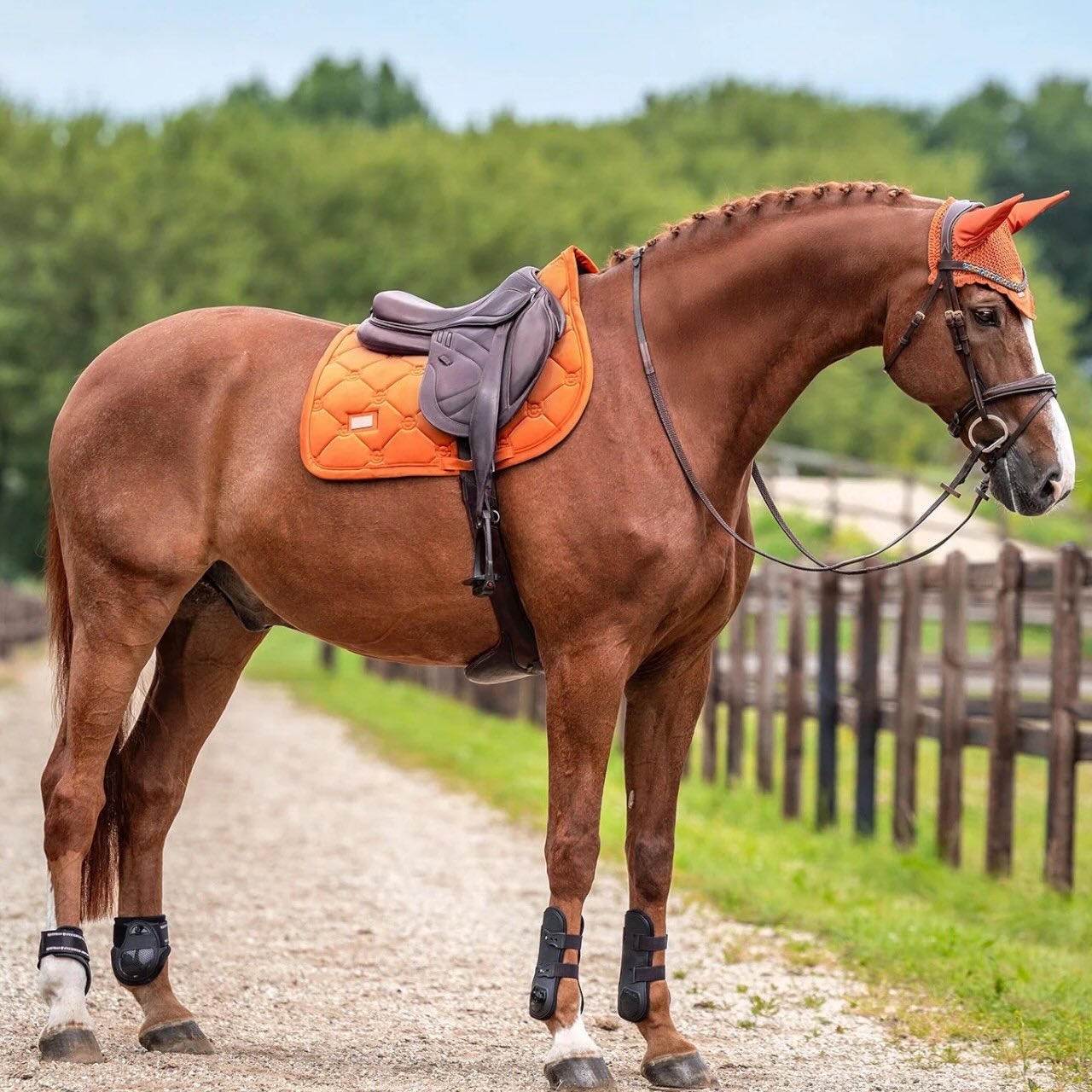 Springschabracke Velvet Chestnut Schabracke