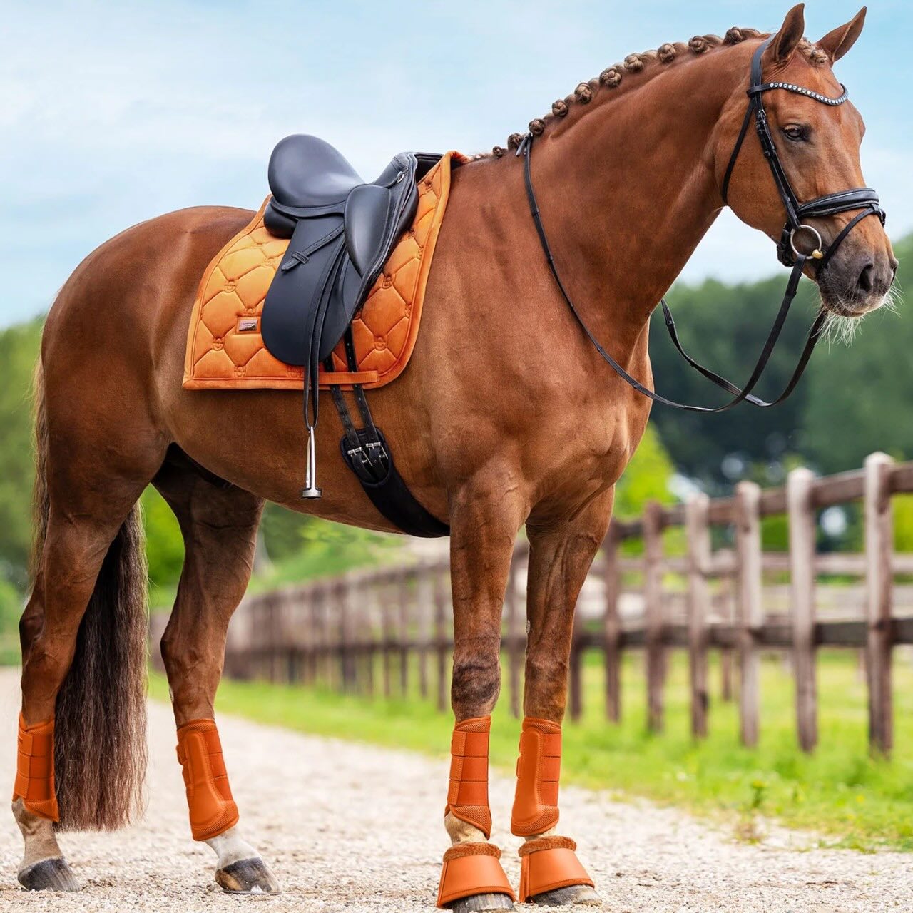 Dressurschabracke Velvet Chestnut Schabracke