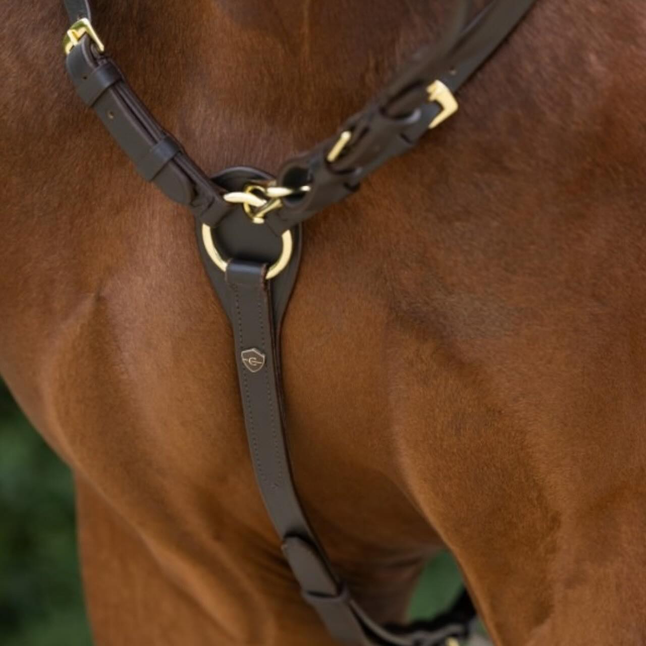 Vorderzeug Soft Leder