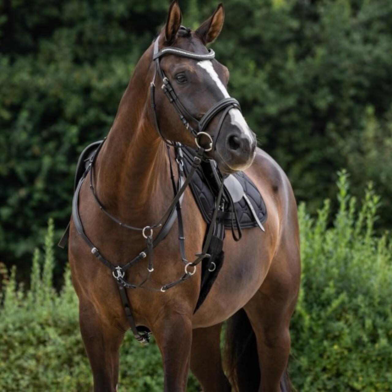 Vorderzeug Soft Leder
