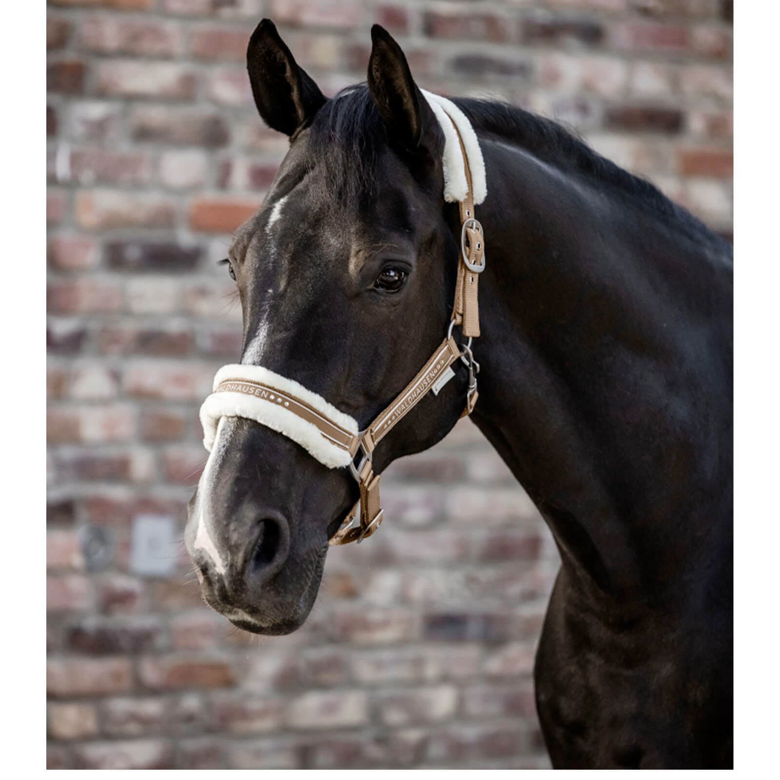 Halfter Elegant Kunstfell Pferdehalfter