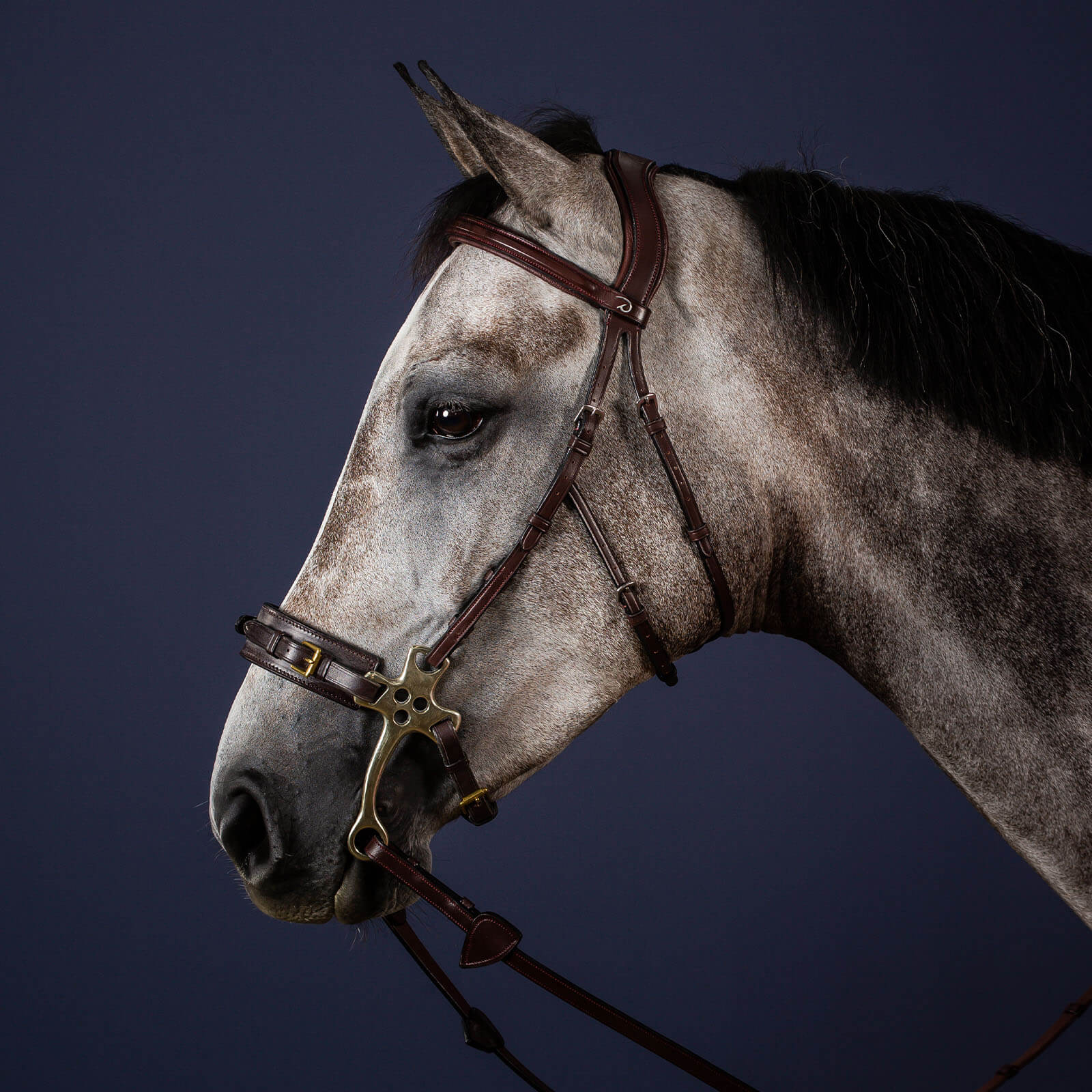 Hackamore Zaum New English Collection Trensenzaum