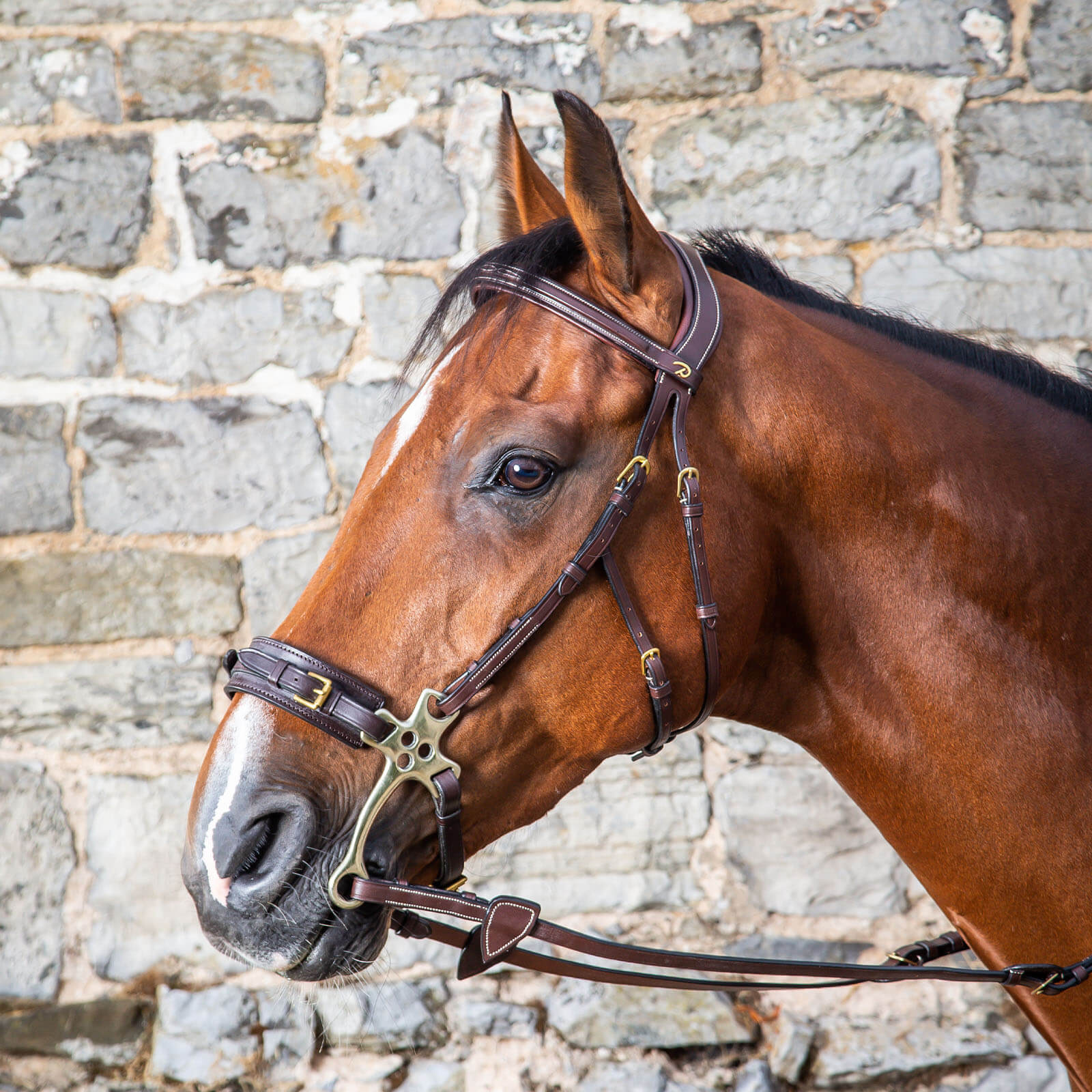 Hackamore Zaum D Collection Trensenzaum