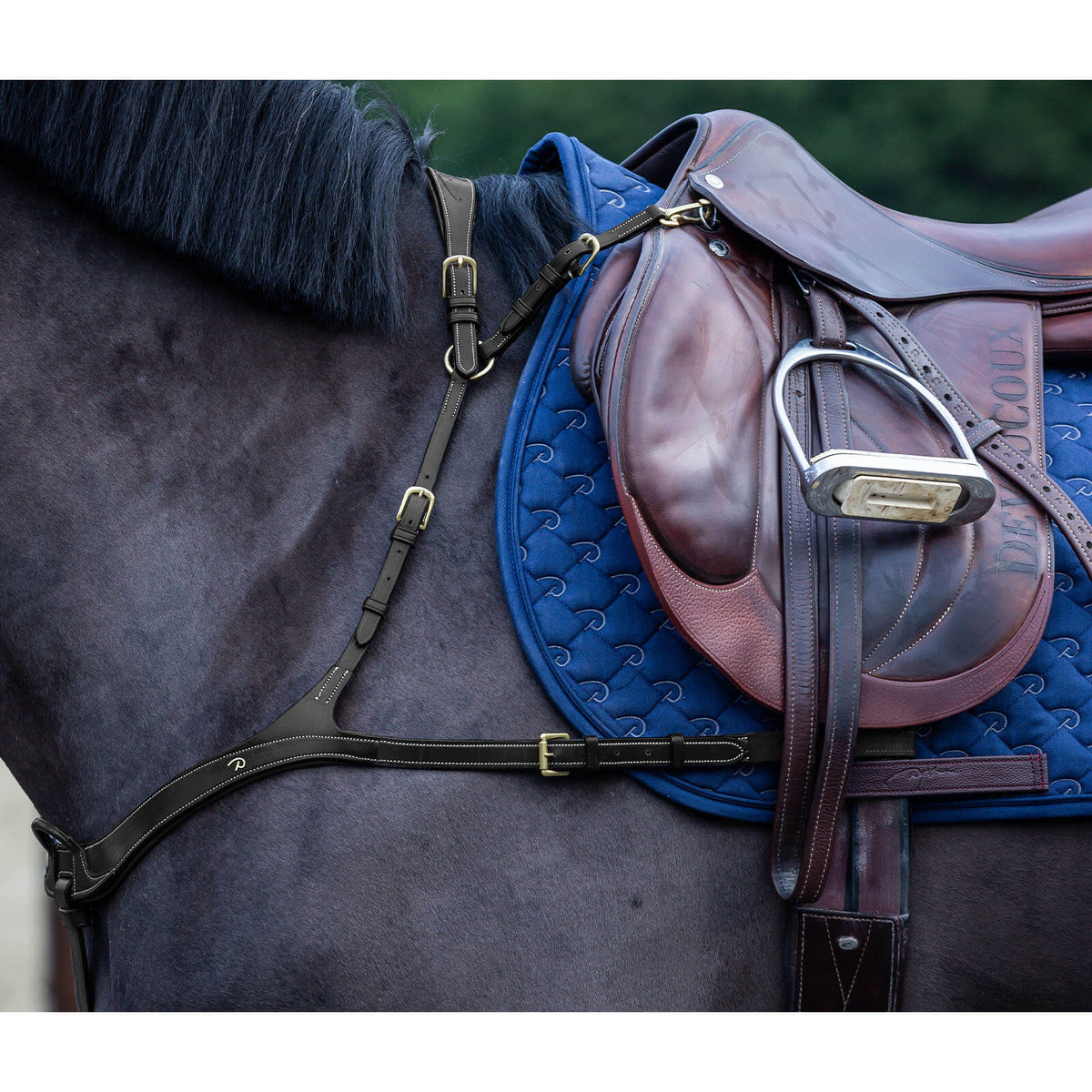 Dy'on Anatomisches Vorderzeug D Collection Hilfszügel, Schwarz, Detailaufnahme am Pferd unter dem Sattel.