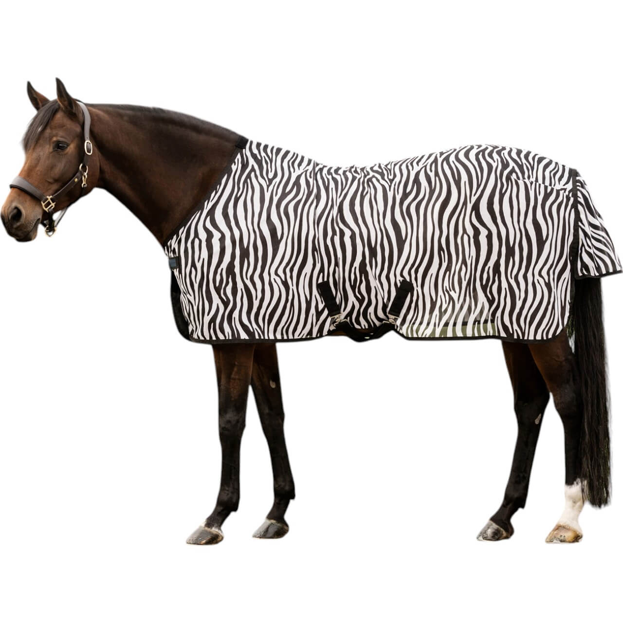 Fliegendecke Zebra mit Kreuzgurten Fliegenschutz