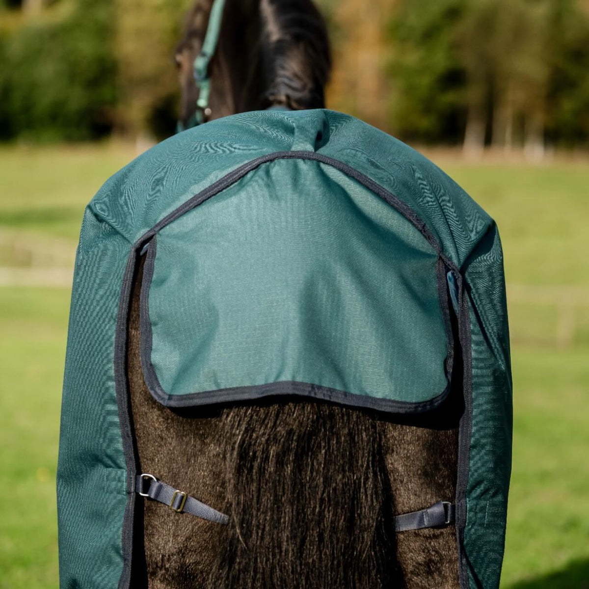 Horseware Ireland Weidedecke 100g Amigo Ripstop 900D Turnout Decke, Grün, Pferd trägt Decke auf der Weide.