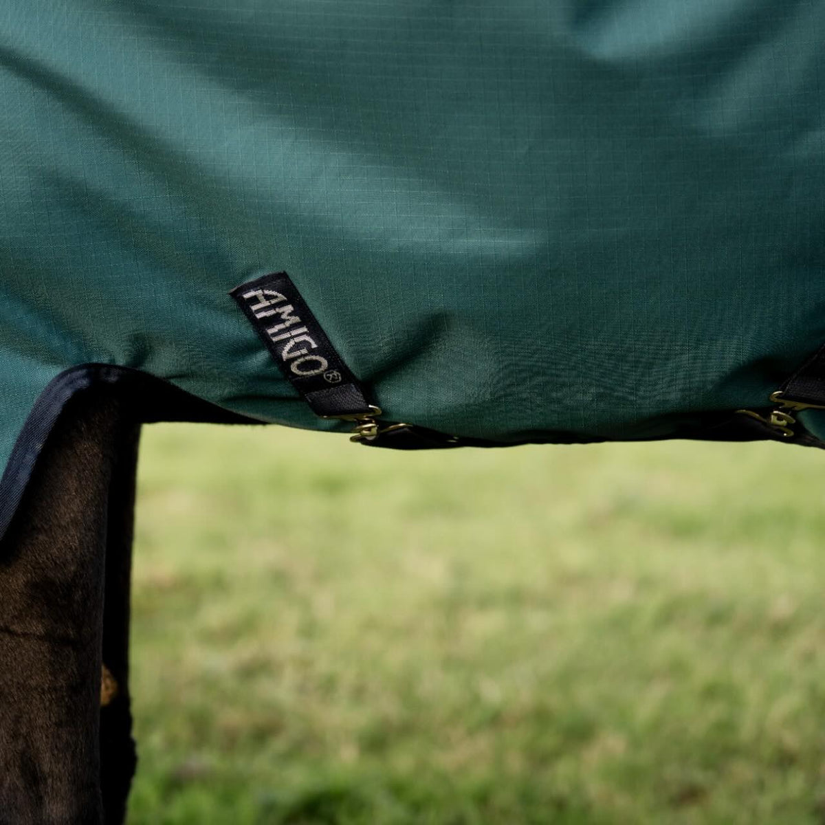 Horseware Ireland Weidedecke 100g Amigo Ripstop 900D Turnout Decke, grün, Detailaufnahme am Pferd.