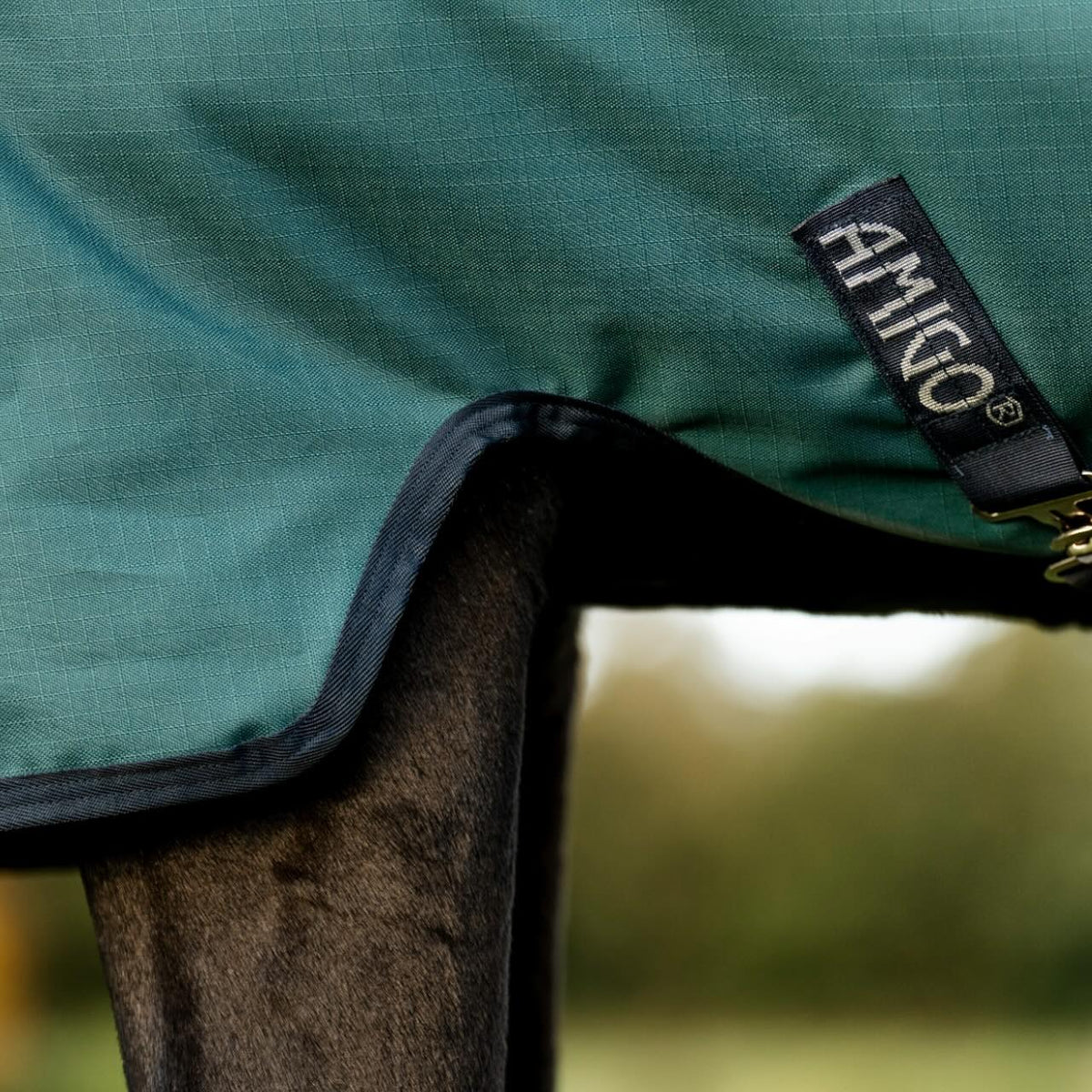 Horseware Ireland Weidedecke 100g Amigo Ripstop 900D Turnout Decke, Grün, Detailaufnahme am Pferd.