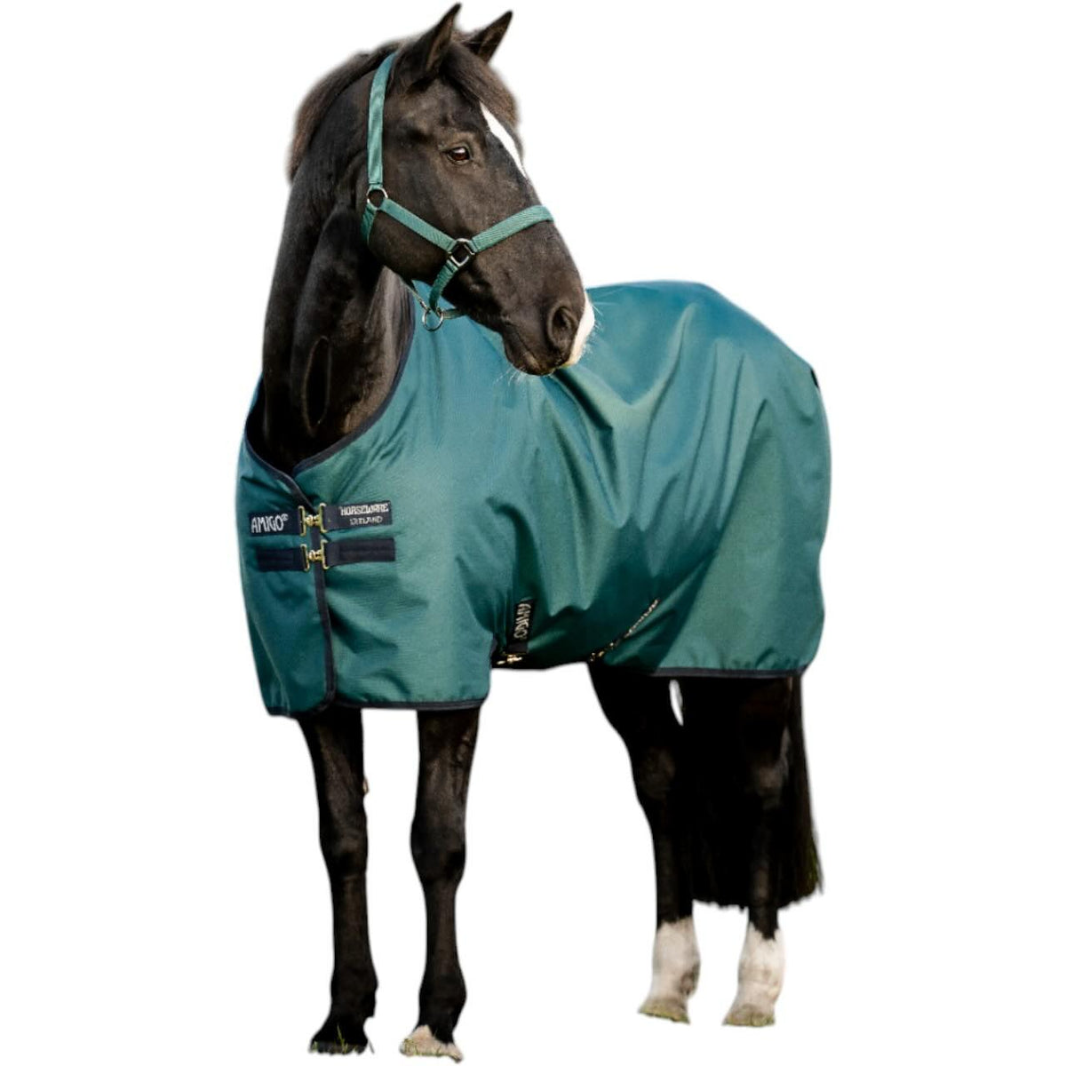 Weidedecke 100g Amigo Ripstop 900D Turnout Decke, Dynasty Green/Navy & Silver, Pferd trägt Decke.