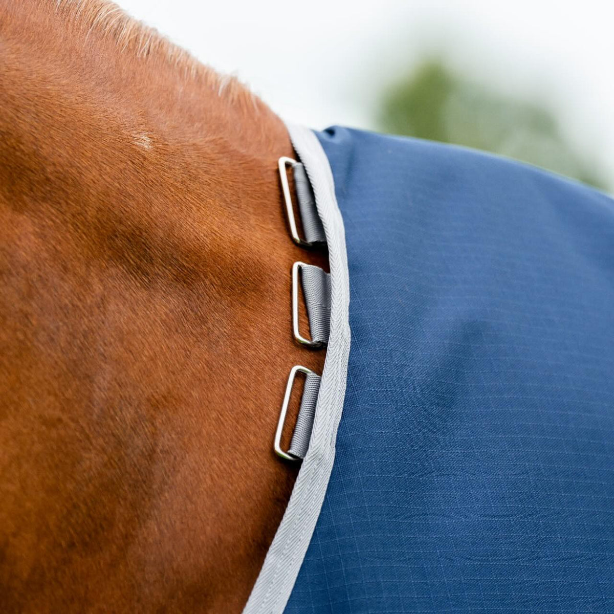 Horseware Ireland Weidedecke 100g Amigo Ripstop 900D Turnout Decke, Midsummer Blue, Detailaufnahme am Pferd.