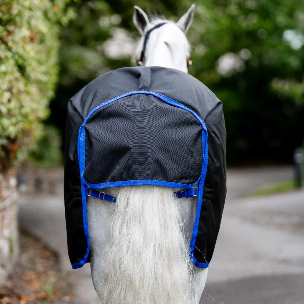 Horseware Ireland Weidedecke 100g Amigo Ripstop 900D Turnout Decke, Schwarz, Pferd von hinten mit Decke.