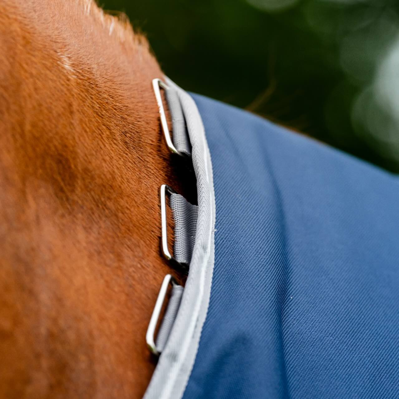 Weidedecke Amigo 0g 1200D Turnout Decke