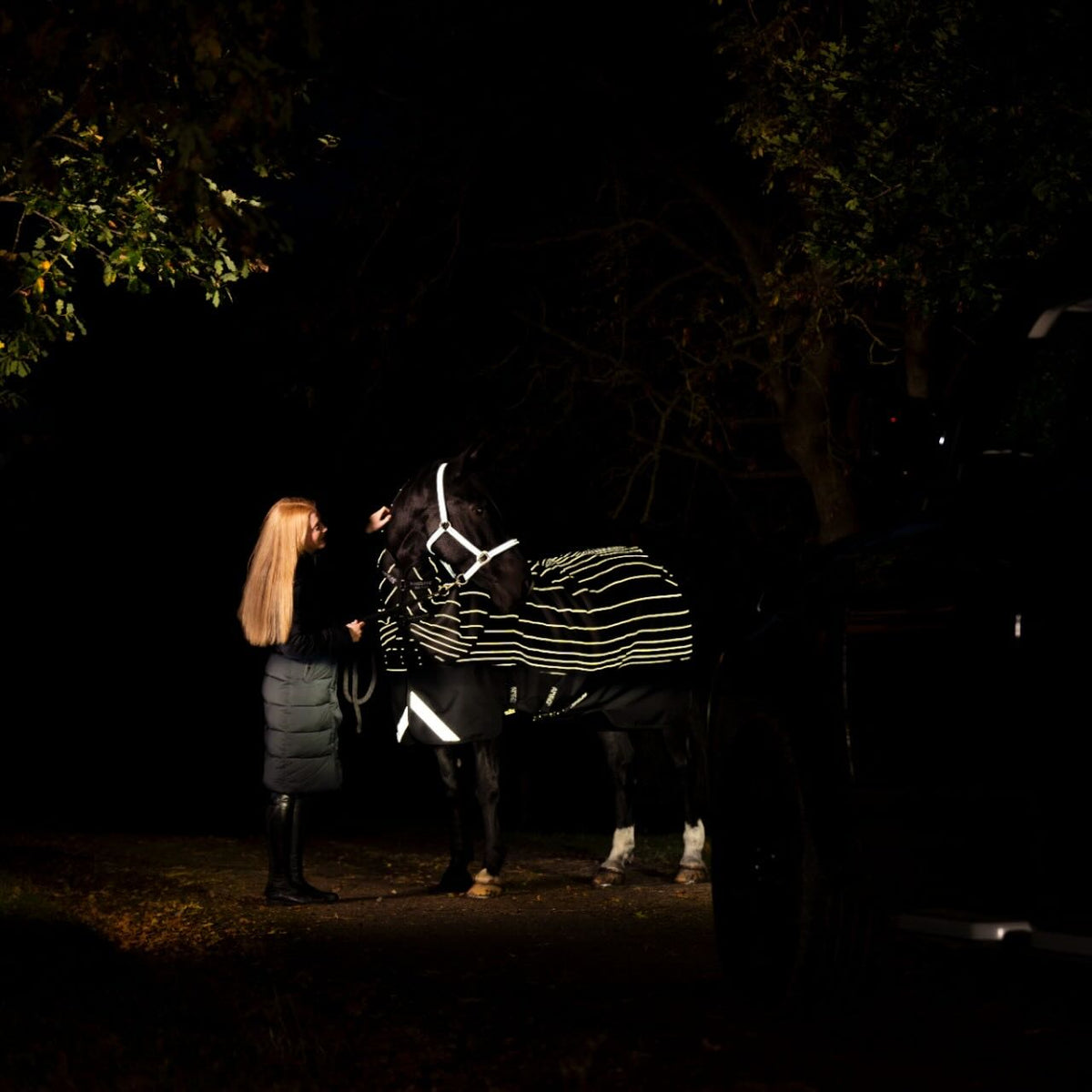 Horseware Ireland Weidedecke Amigo 0g 1200D Field Safe Reflectech Plus Turnout Decke, mehrfarbige Streifen, Pferd mit Decke bei Nacht.