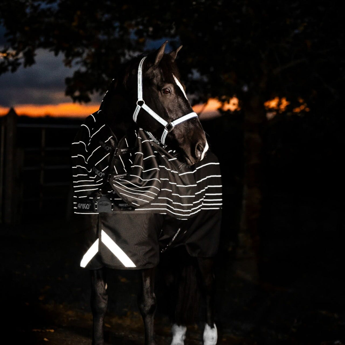 Horseware Ireland Weidedecke Amigo 0g 1200D Field Safe Reflectech Plus Turnout Decke, Schwarz, Pferd mit Decke bei Dämmerung.