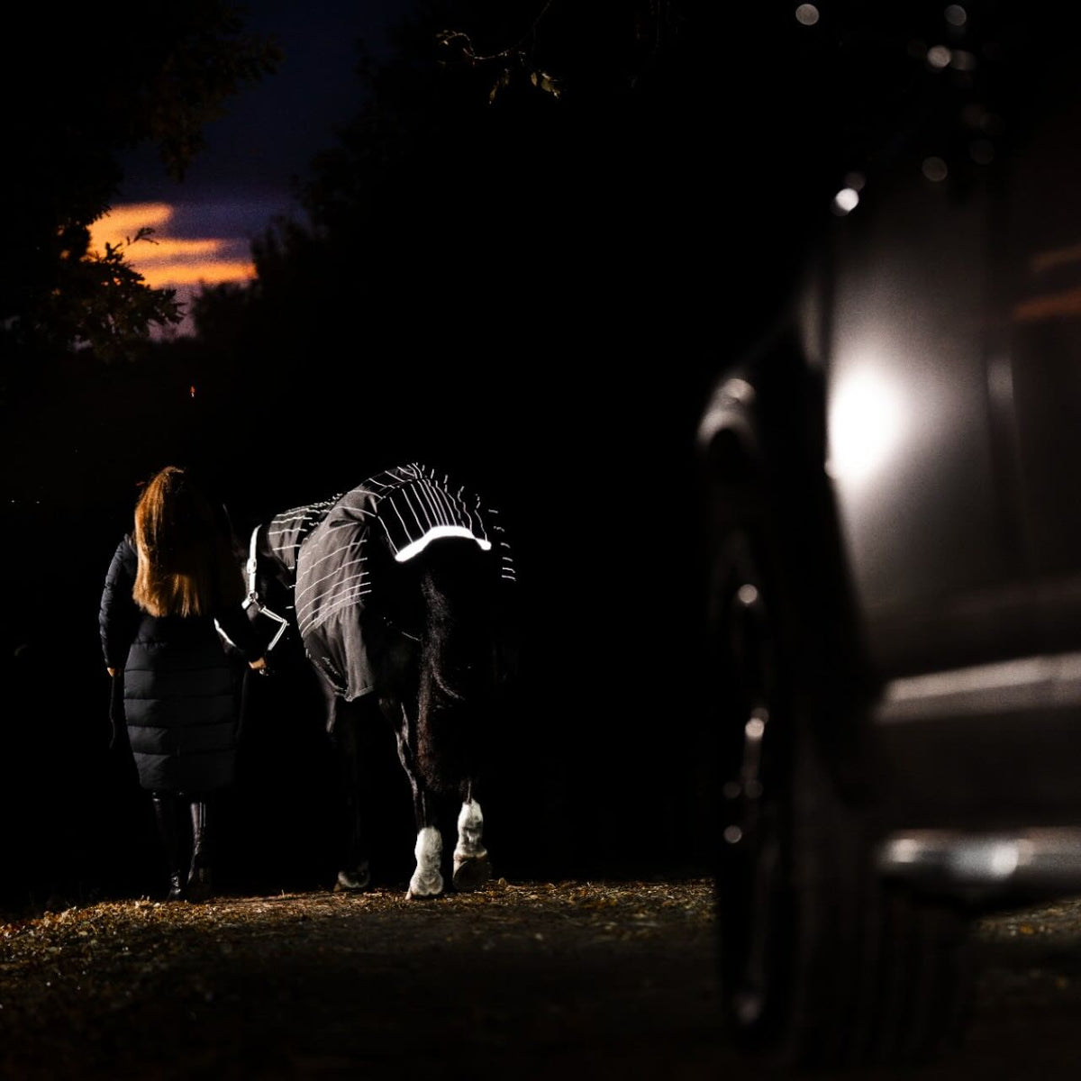 Weidedecke Amigo 0g 1200D Field Safe Reflectech Plus Turnout Decke, Schwarz, Pferd mit Person bei Dämmerung.