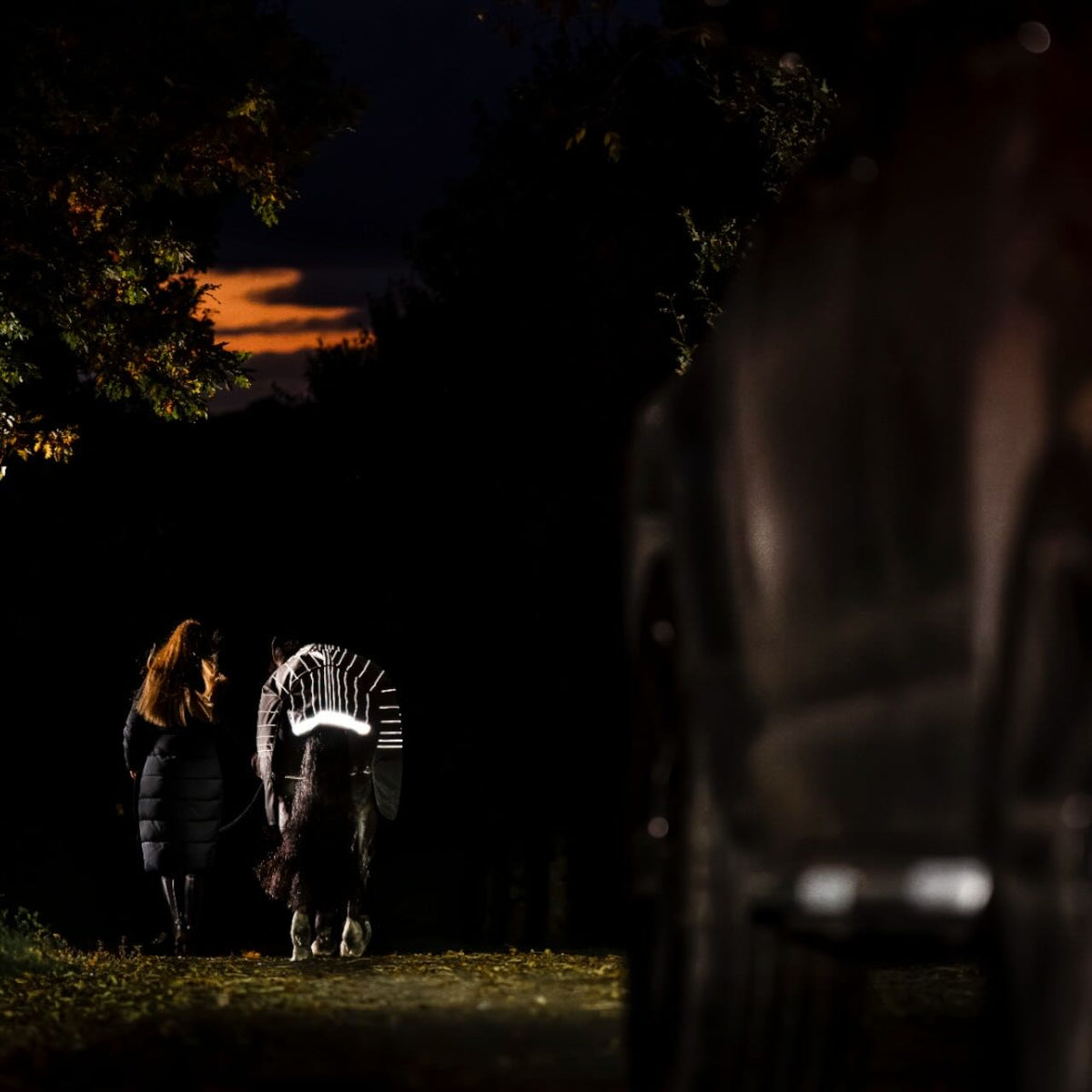 Weidedecke Amigo 0g 1200D Field Safe Reflectech Plus Turnout Decke, schwarze Weide, Person führt Pferd bei Nacht.