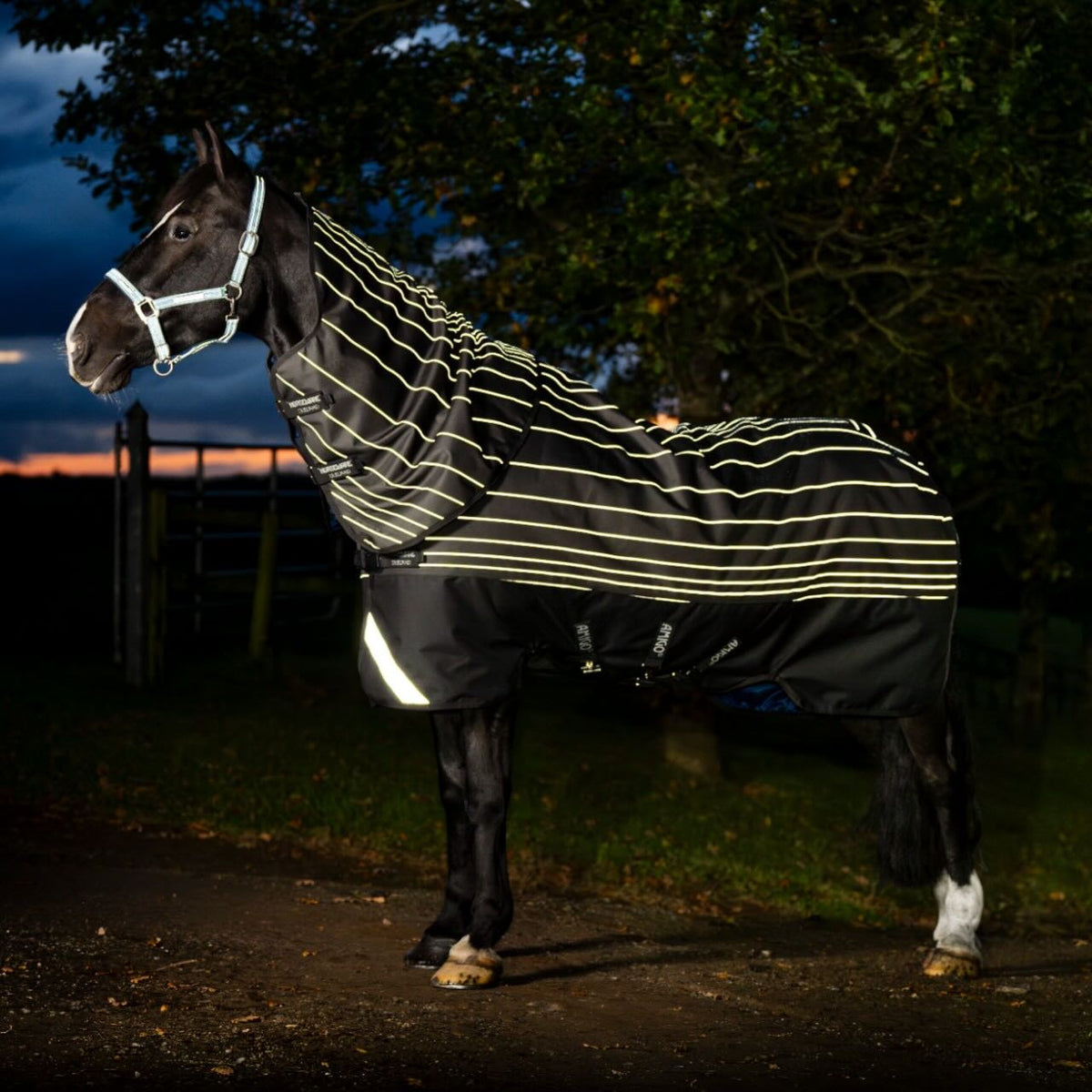 Horseware Ireland Weidedecke Amigo 0g 1200D Field Safe Reflectech Plus Turnout Decke, Produkt am Pferd bei Dämmerung.