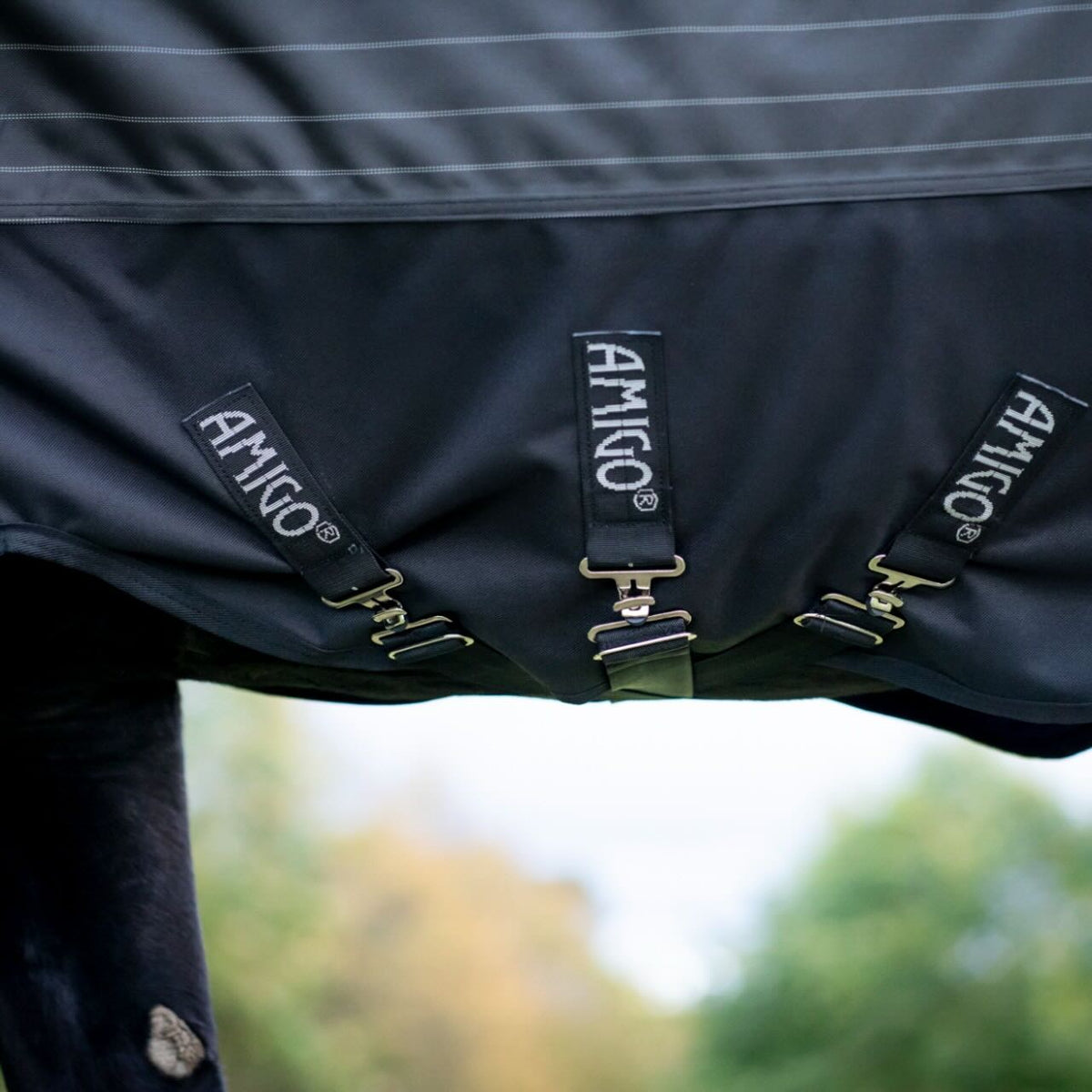 Weidedecke Amigo 0g 1200D Field Safe Reflectech Plus Turnout Decke, Amigo, Schwarz, Detailaufnahme am Pferd.