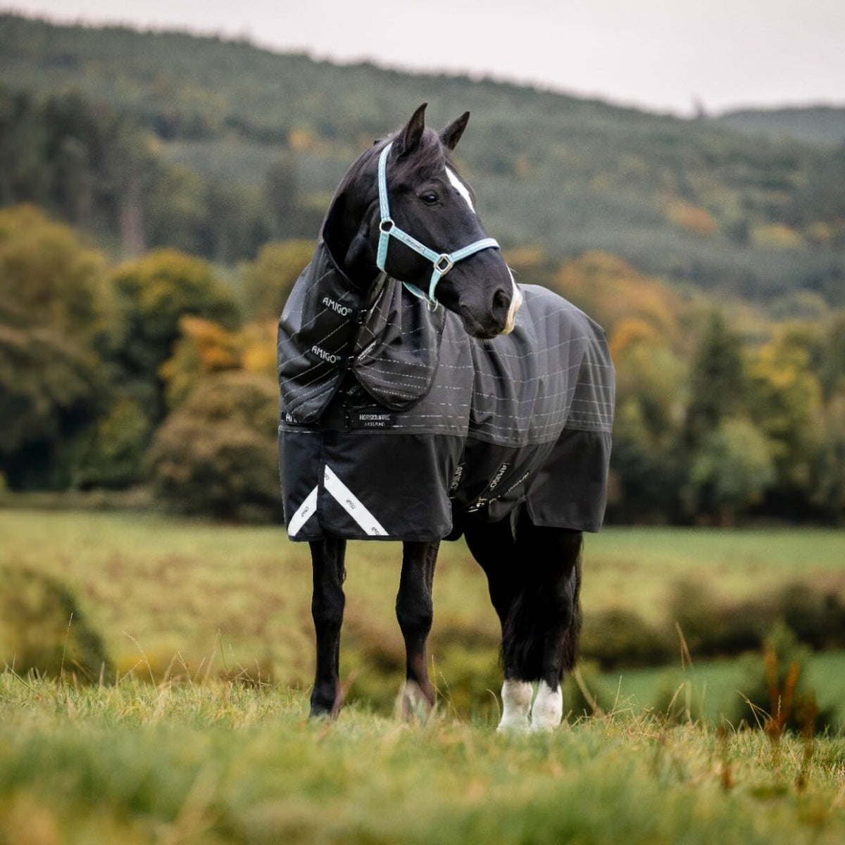 Horseware Ireland Weidedecke Amigo 0g 1200D Field Safe Reflectech Plus Turnout Decke, schwarz, Pferd auf der Weide.