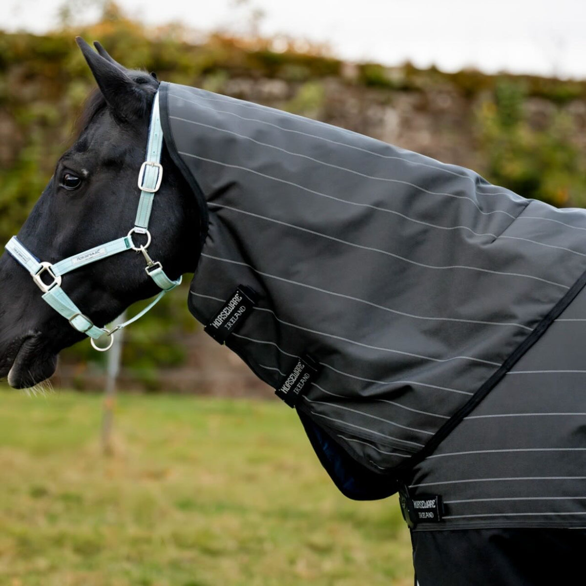 Horseware Ireland Weidedecke Amigo 0g 1200D Field Safe Reflectech Plus Turnout Decke, grau, Pferd trägt die Decke draußen.