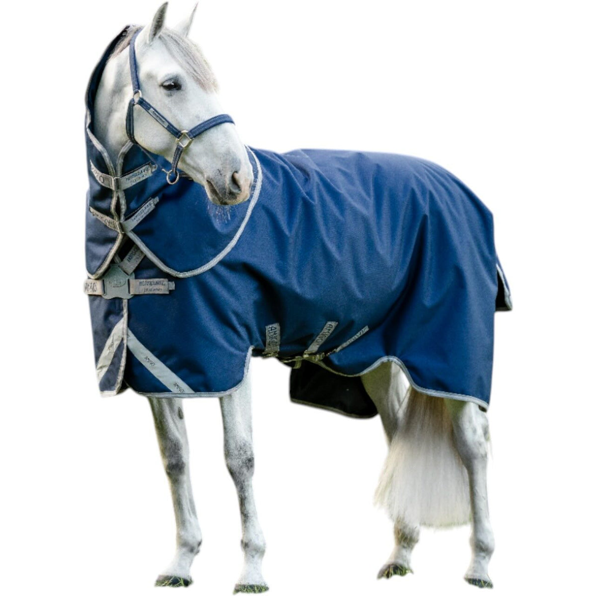 Horseware Ireland Weidedecke Amigo 50g 1200D Turnout Decke, Navy/Titanium Grey & Silver, Pferd trägt die Decke.