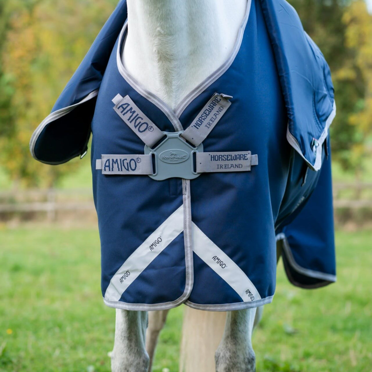 Horseware Ireland Weidedecke Amigo 50g 1200D Turnout Decke, Midsummer Blue, Pferd trägt die Decke auf der Weide.