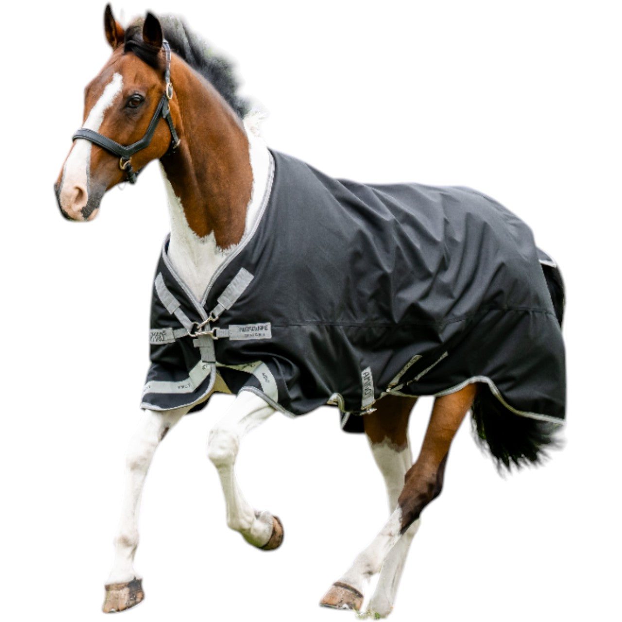 Weidedecke Amigo 0g 1200D Turnout Decke