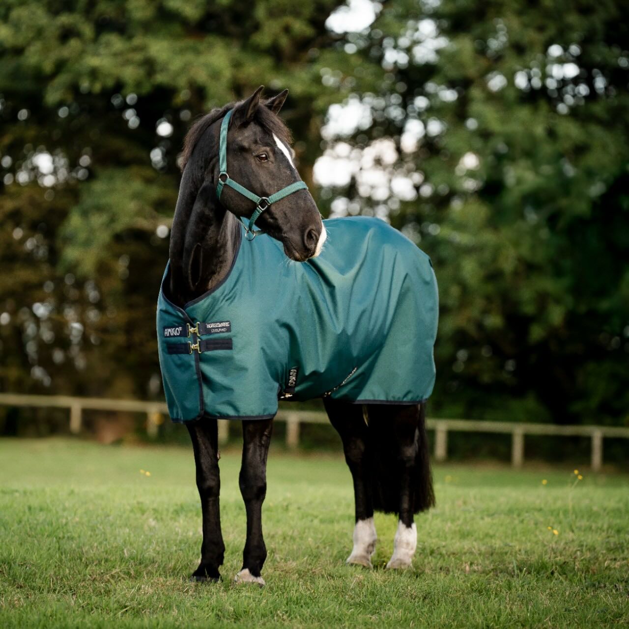 Weidedecke Amigo 50g Ripstop 900D Fleece Lined Decke