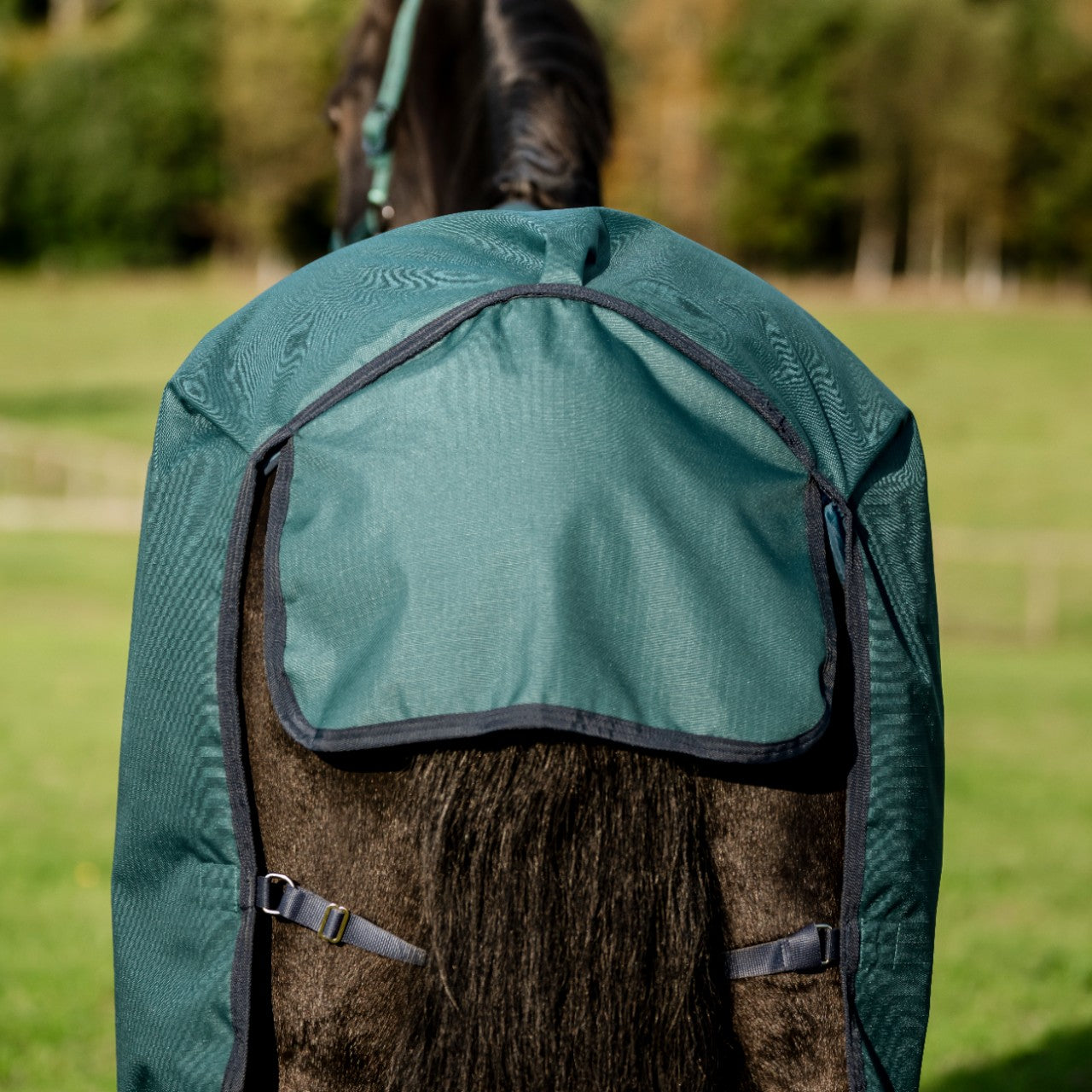 Weidedecke Amigo 0g Ripstop 900D Turnout Decke