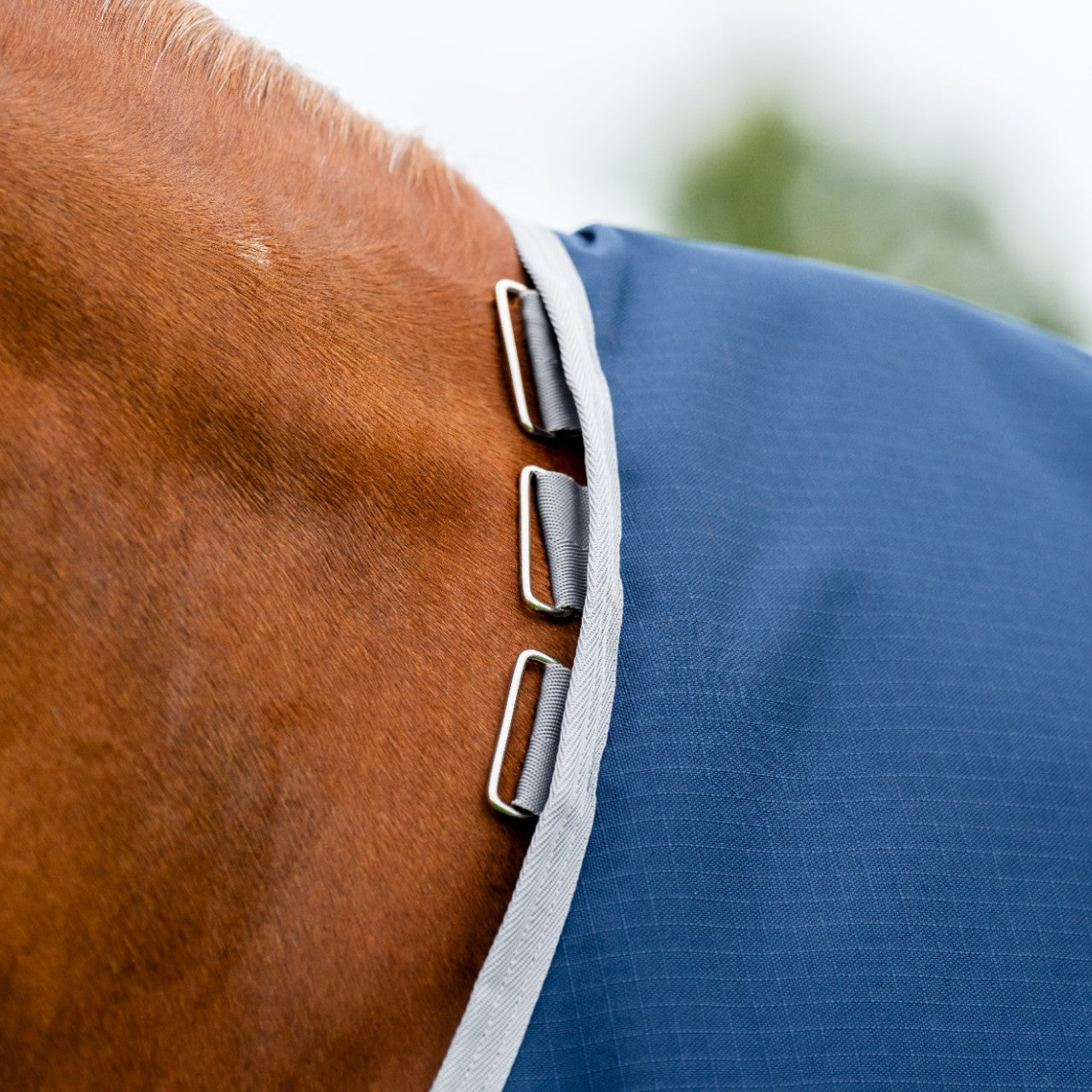 Weidedecke Amigo 0g Ripstop 900D Turnout Decke