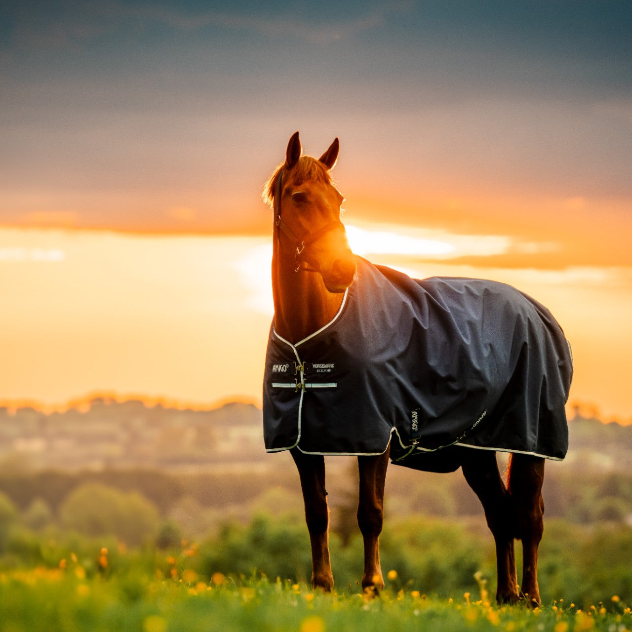 Weidedecke Amigo 0g Ripstop 900D Turnout Decke