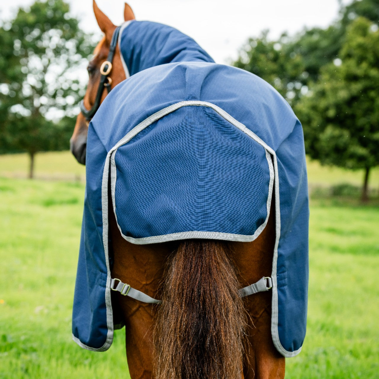 Weidedecke Amigo 0g Ripstop 900D Turnout Decke