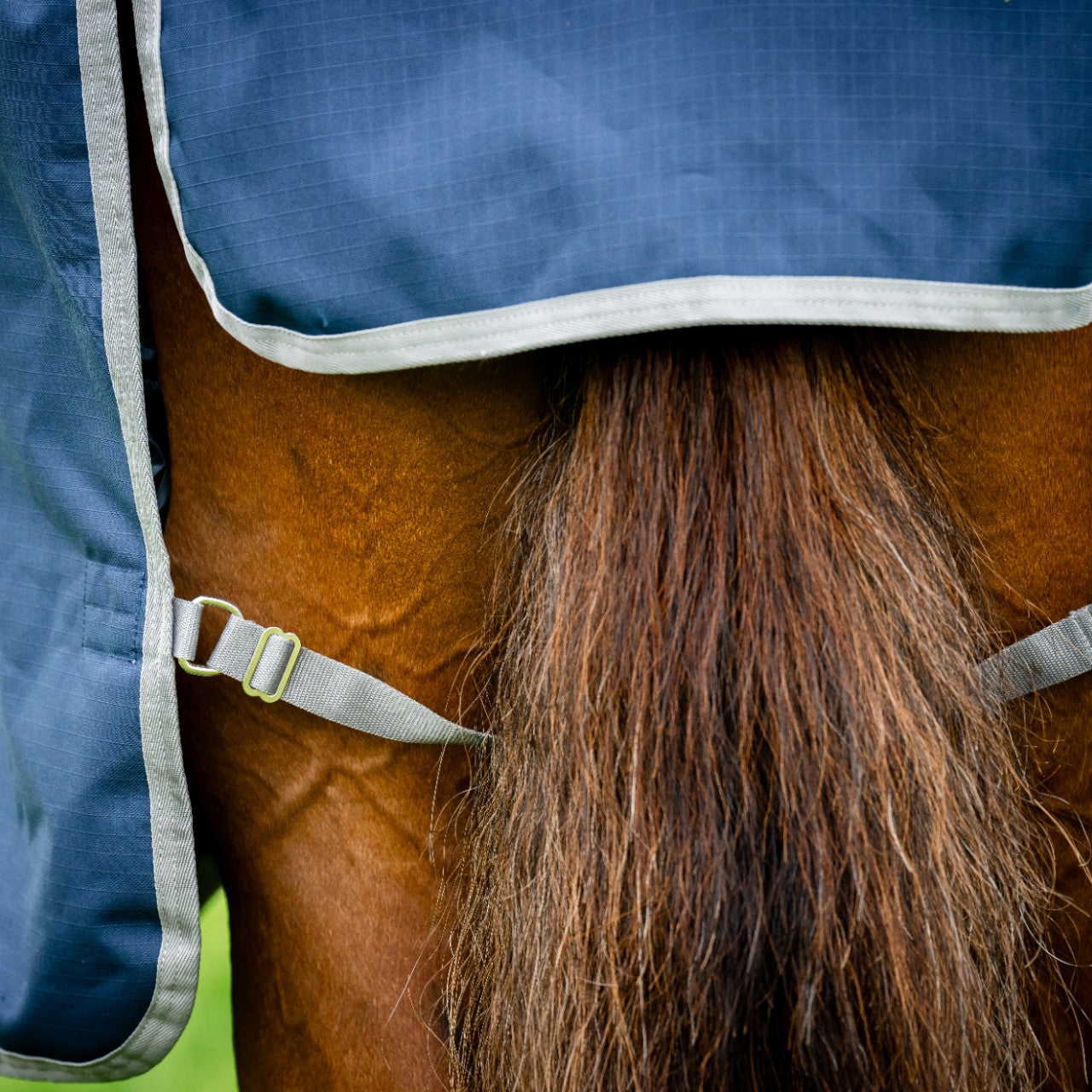 Weidedecke Amigo 0g Ripstop 900D Turnout Decke