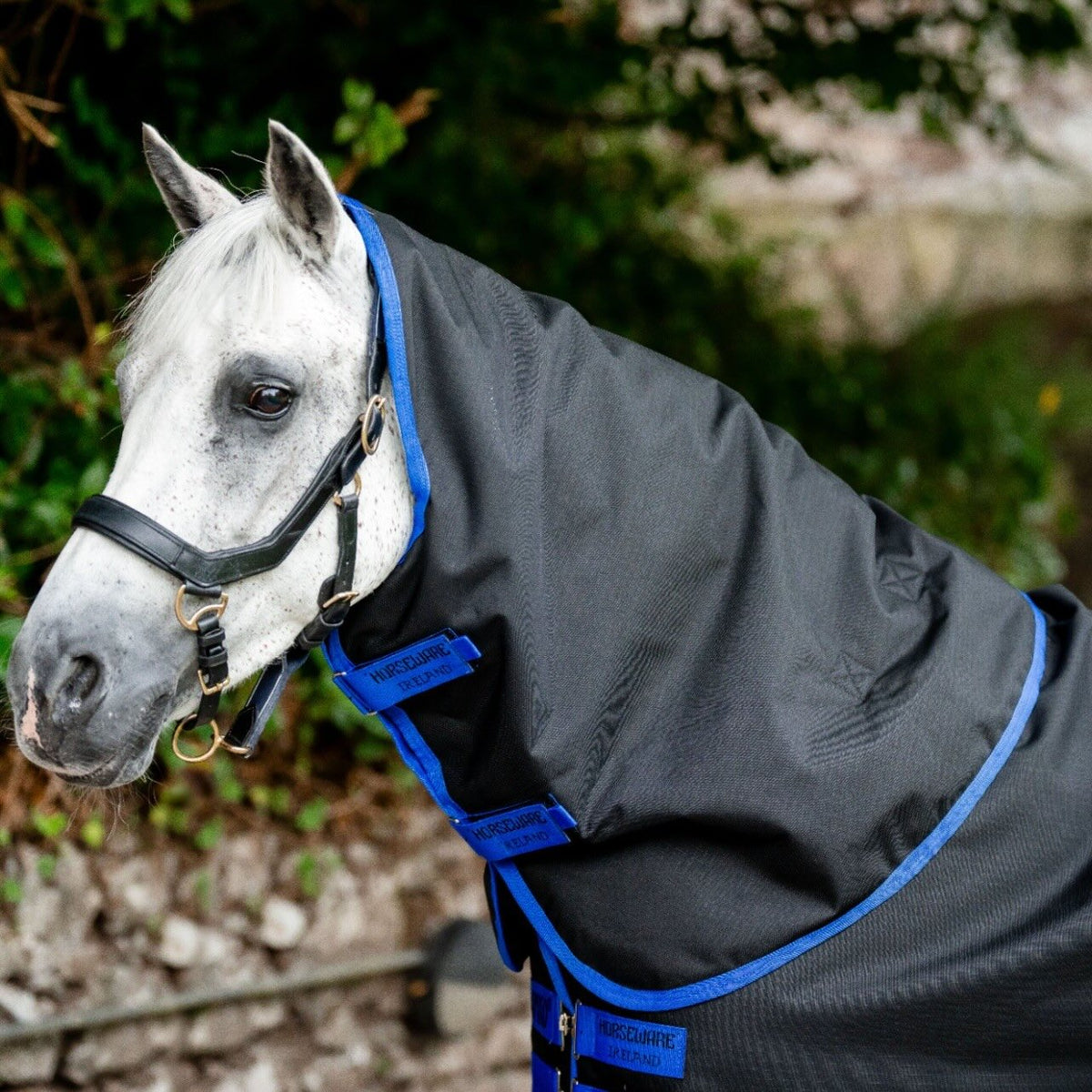 Horseware Ireland Weidedecke Amigo 50g Ripstop 900D Turnout Decke, Schwarz, Pferd trägt die Decke.