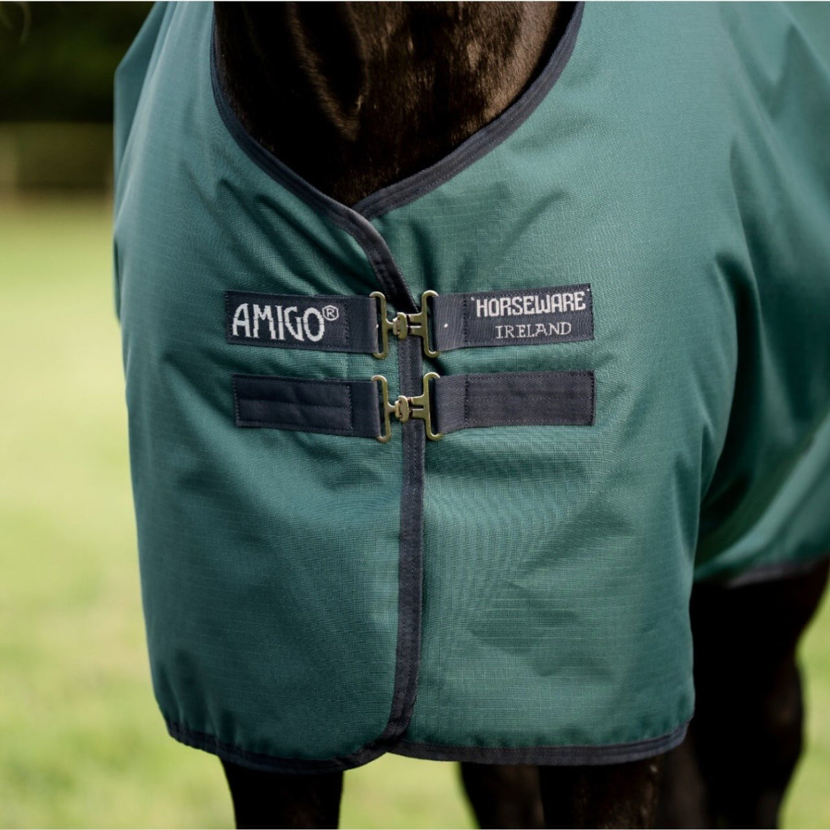 Horseware Ireland Weidedecke Amigo 50g Ripstop 900D Turnout Decke, Green, Pferd trägt die Decke.