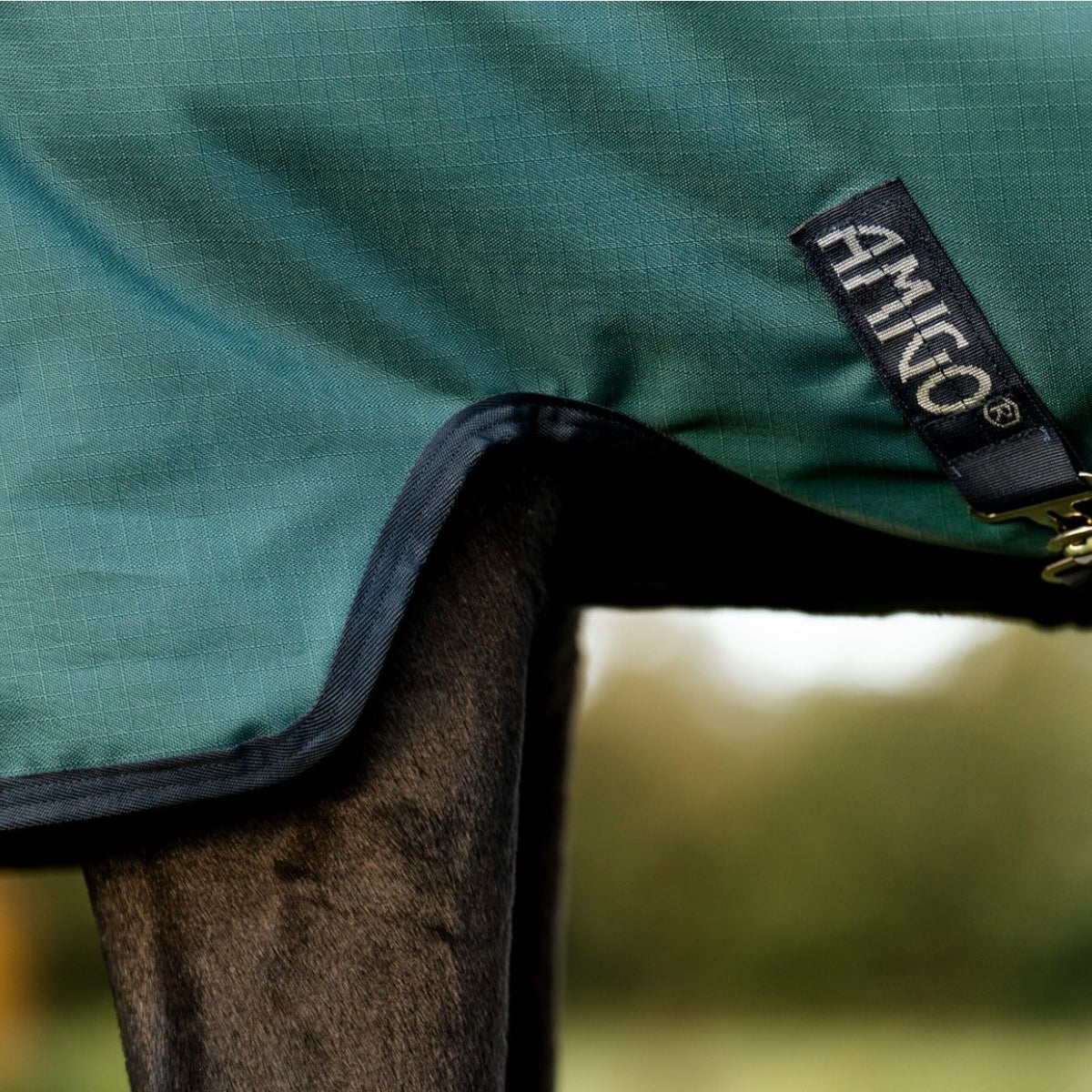 Horseware Ireland Weidedecke Amigo 50g Ripstop 900D Turnout Decke, Grün, Detailaufnahme am Pferd.