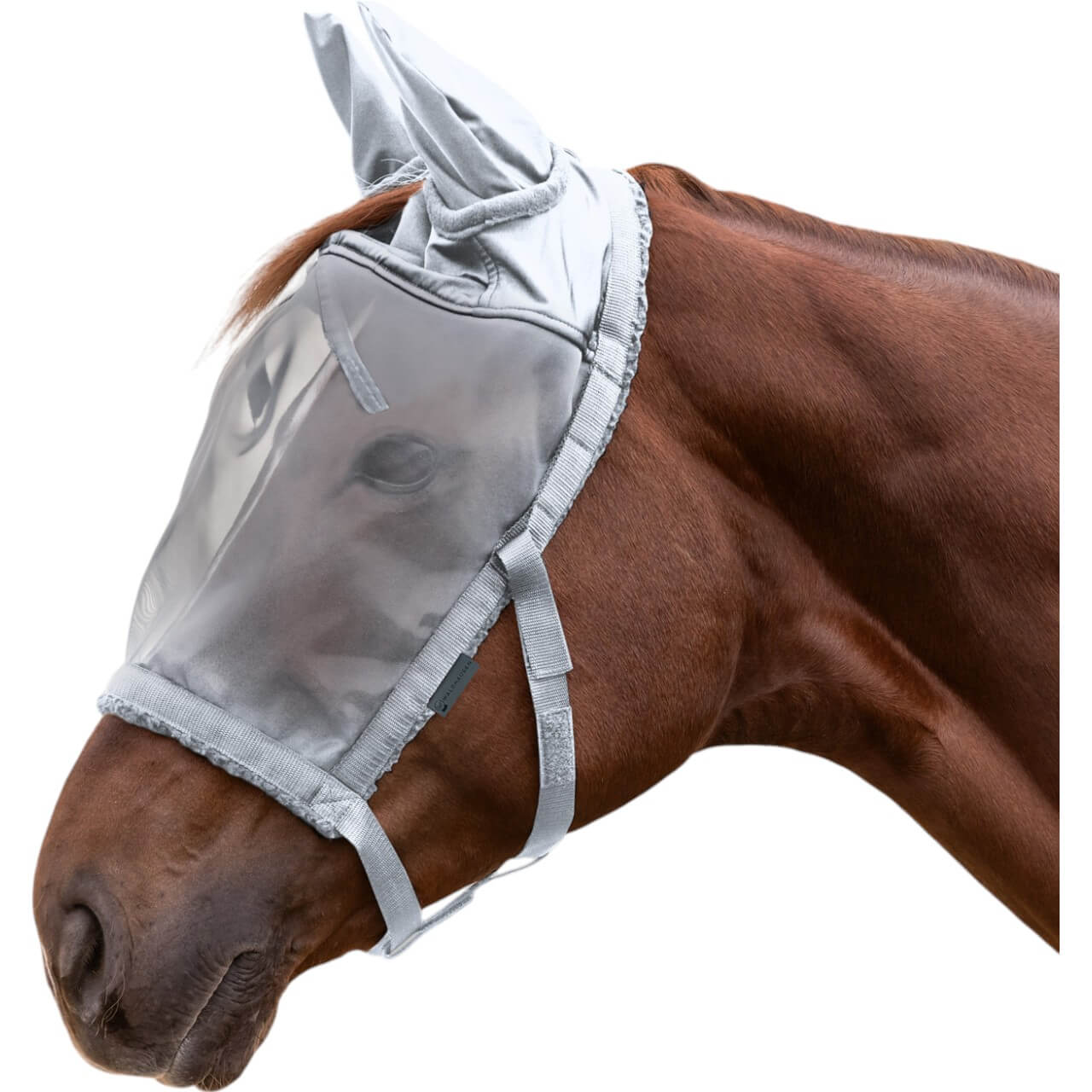 Weidehalfter mit Fliegenmaske Halfter
