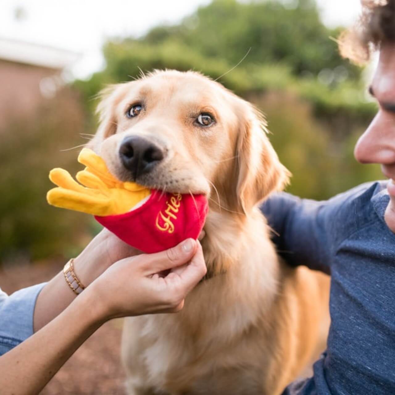 Hundespielzeug Plush Toy American Classic