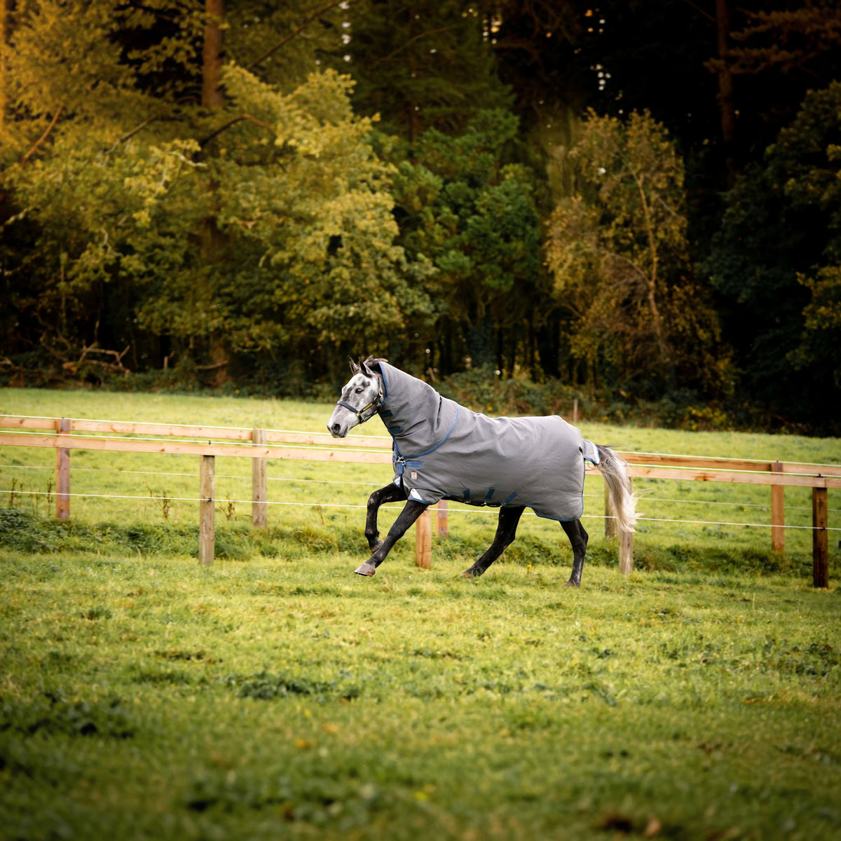 Derka pastwiskowa Rhino HexStop Plus 100g Horseware derka przeciwdeszczowa
