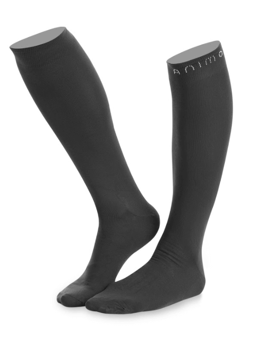 Reitsocken Taipei HW 21