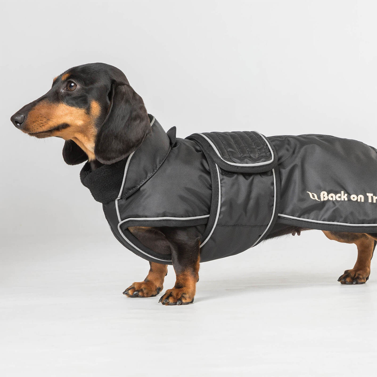 Hundemantel Buddy Regenmantel
