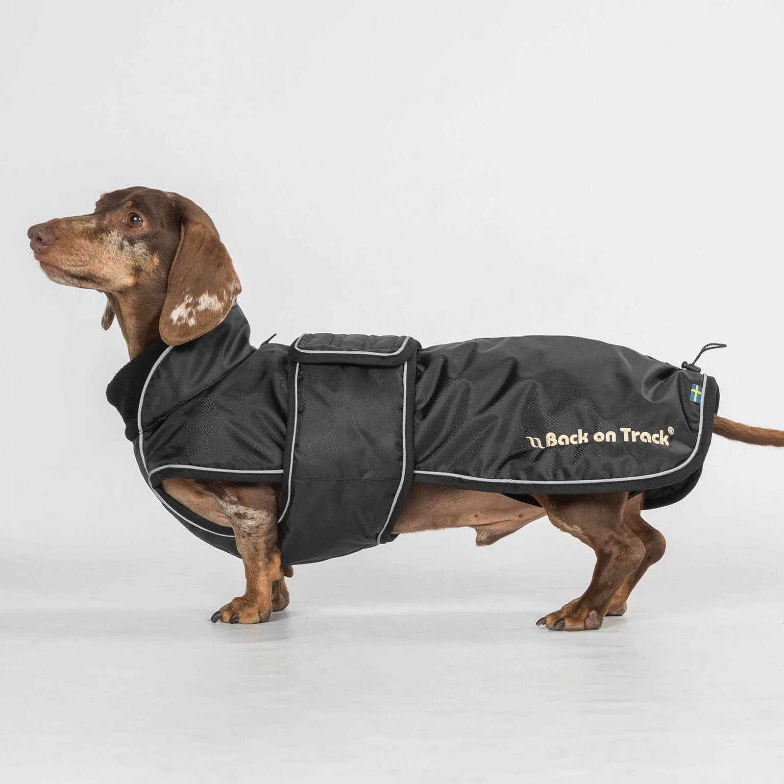 Hundemantel Buddy Regenmantel