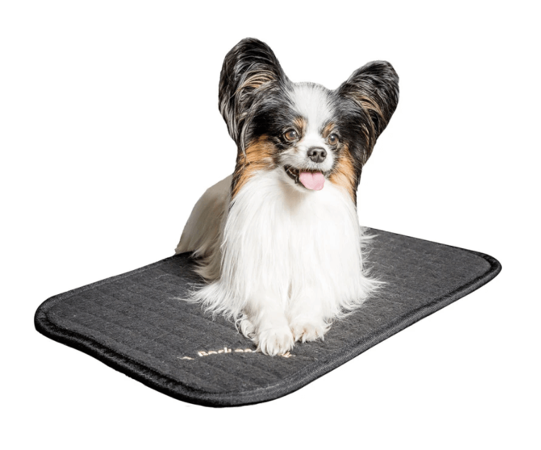Hundematratze Allround Hundekissen