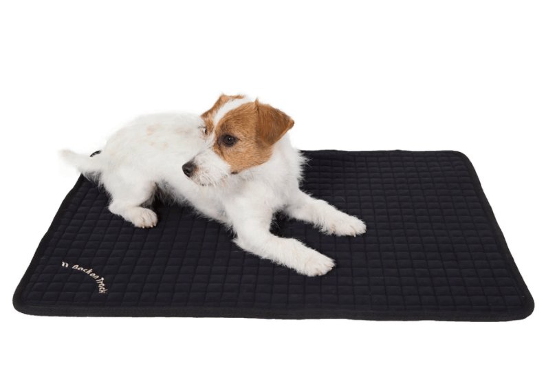 Hundematratze Allround Hundekissen