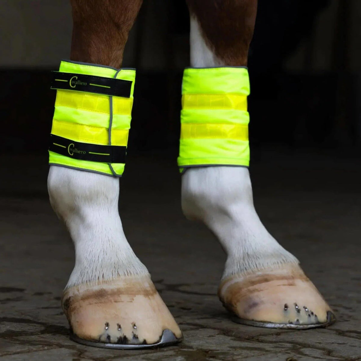 Leuchtgamasche Reflective