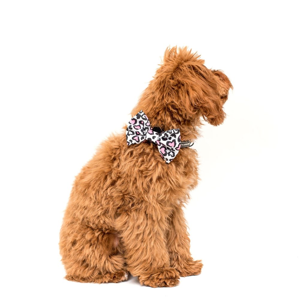 Collar & Bow Tie